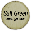 SaltGreen[1]
